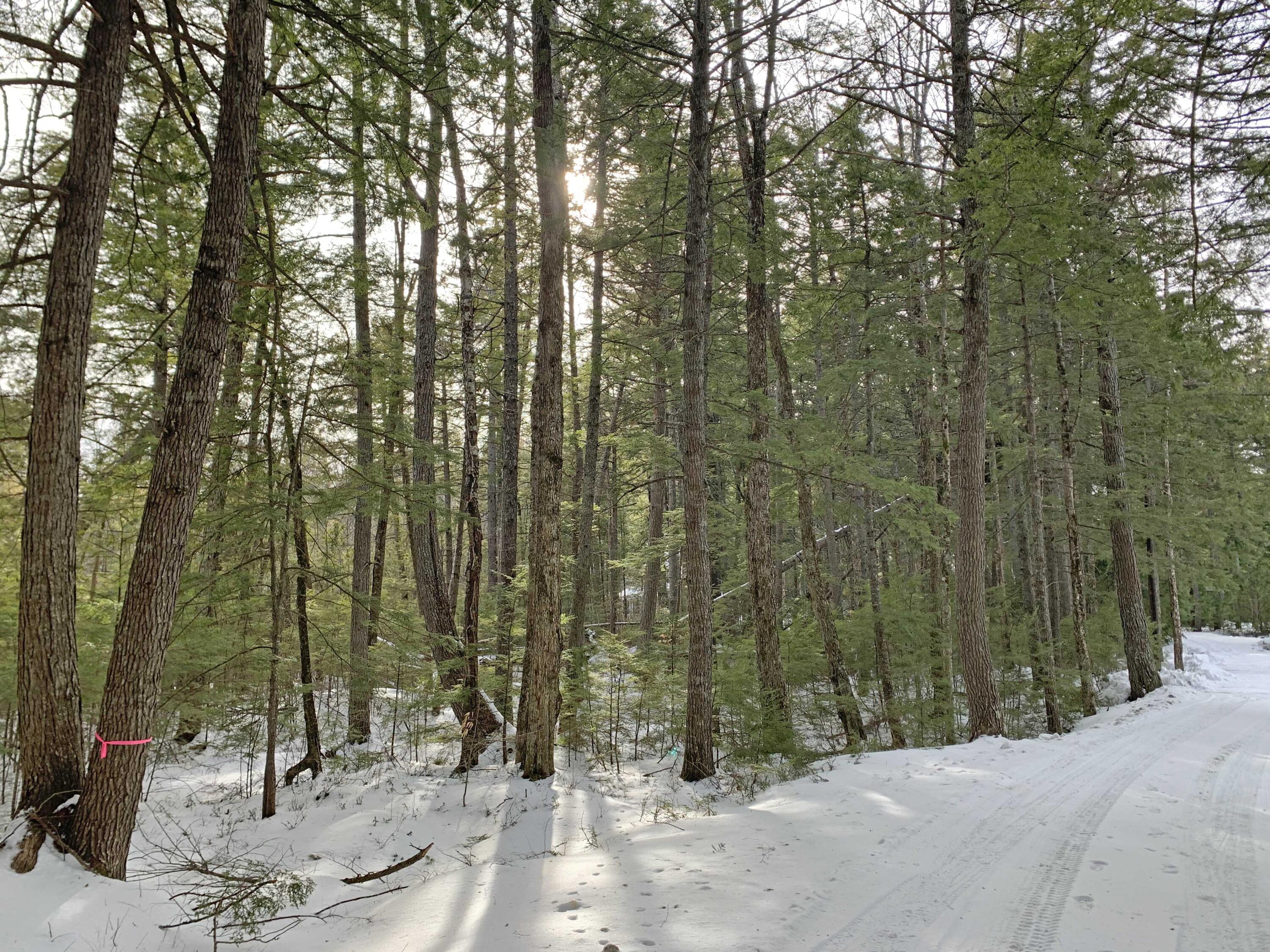 0 Sandy Beach Lane Ellsworth, ME 04605 - Photo 1 of 3 1