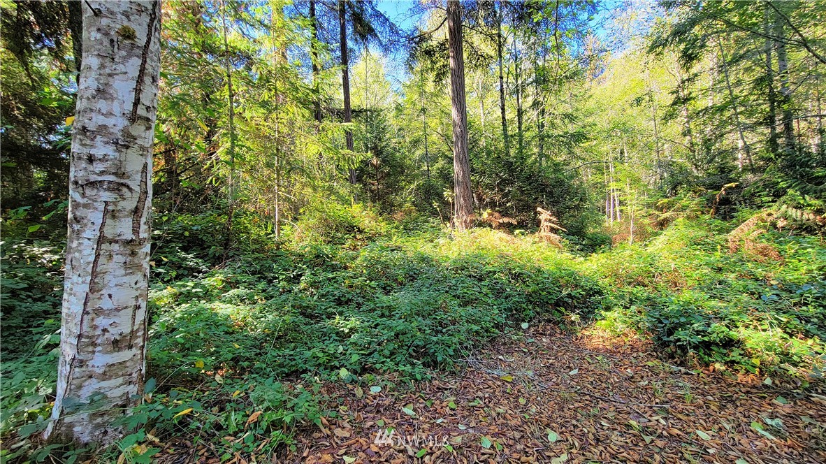 10000 Banner Road Southeast Olalla, WA 98359 - Photo 38 of 40 Gallery Image 38