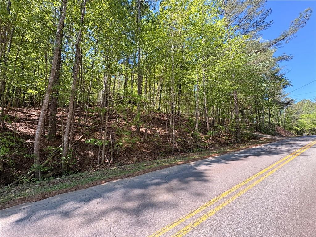 9920 Woodruff Road Fairburn, GA 30213 - Photo 8 of 27