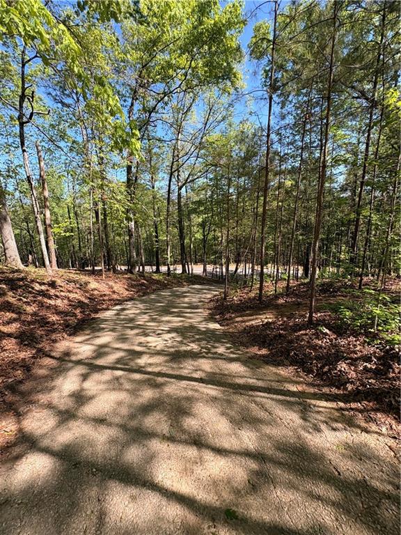 9920 Woodruff Road Fairburn, GA 30213 - Photo 9 of 27