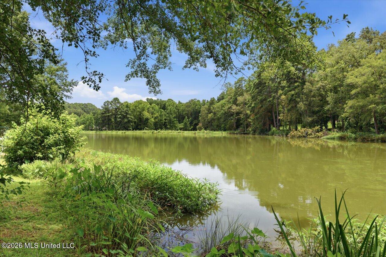 145 Wynndale Lake Road Terry, MS 39170 - Photo 57 of 80 57-145 Wynndale Lake Rd _ Hometoursms.co