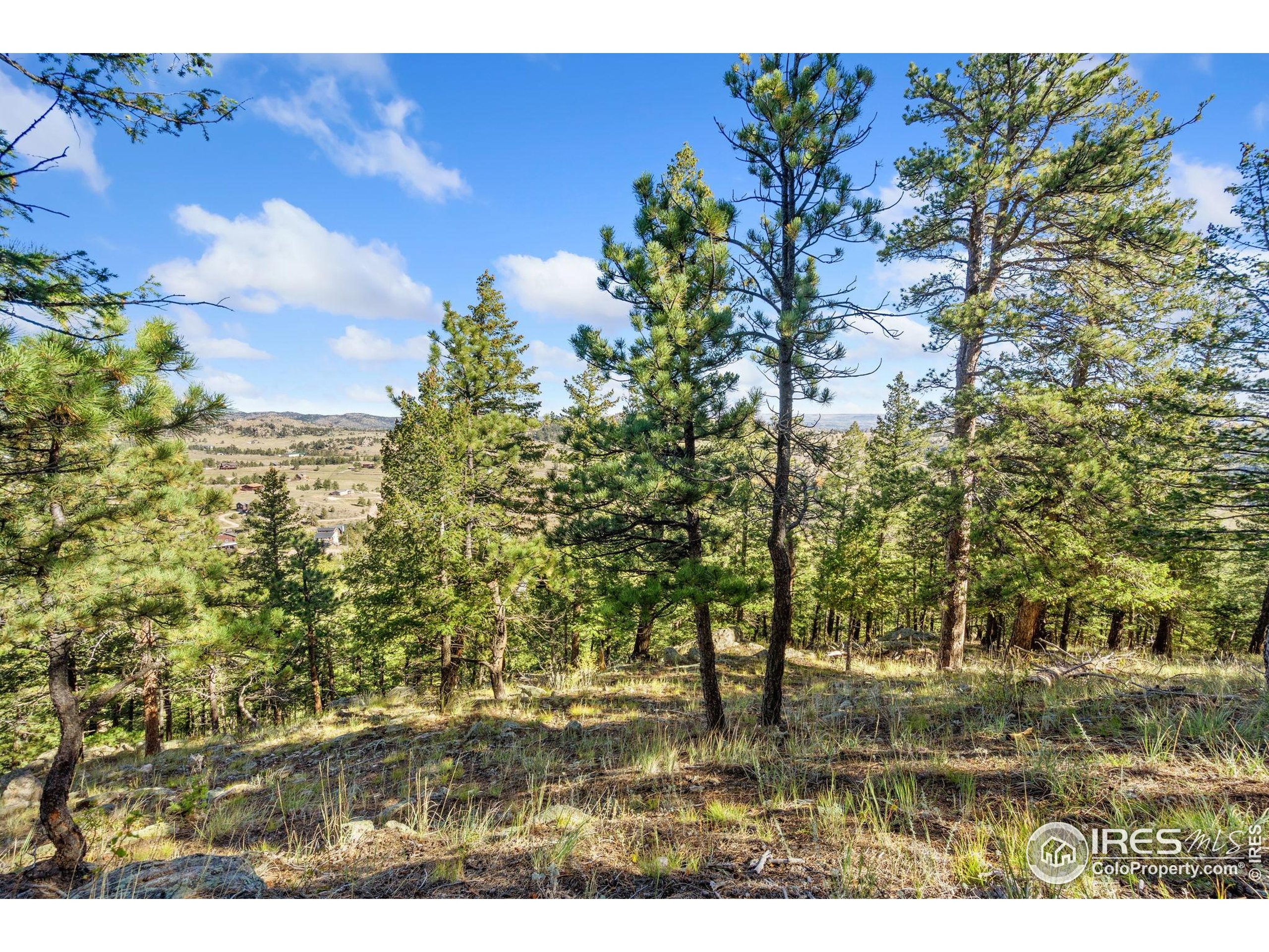 90 Sunlight Circle Livermore, CO 80536 - Photo 12 of 18 a view of outdoor space with city view
