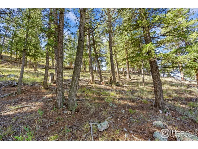 a view of city and mountain
