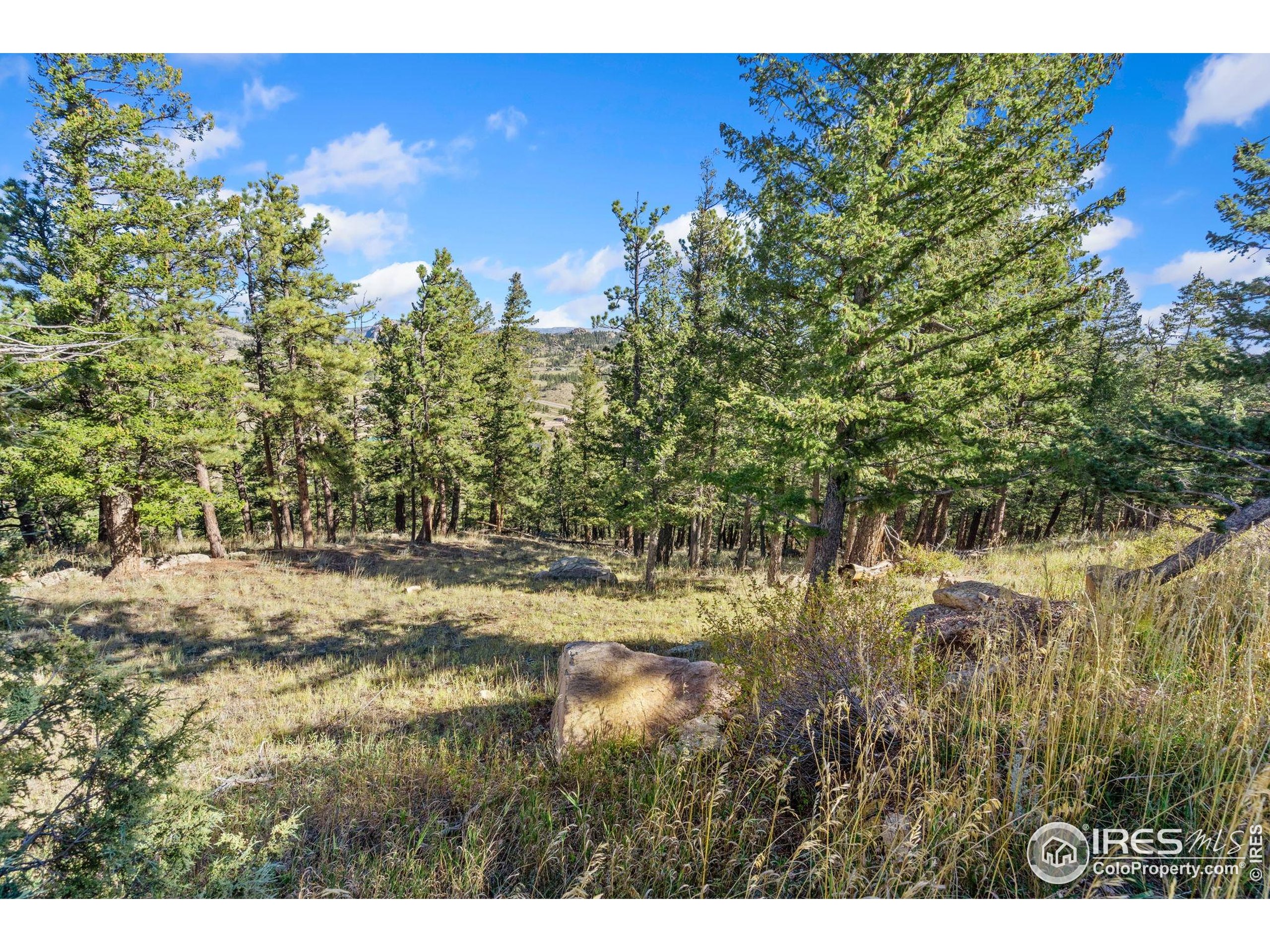 90 Sunlight Circle Livermore, CO 80536 - Photo 2 of 18 a view of a yard with wooden fence