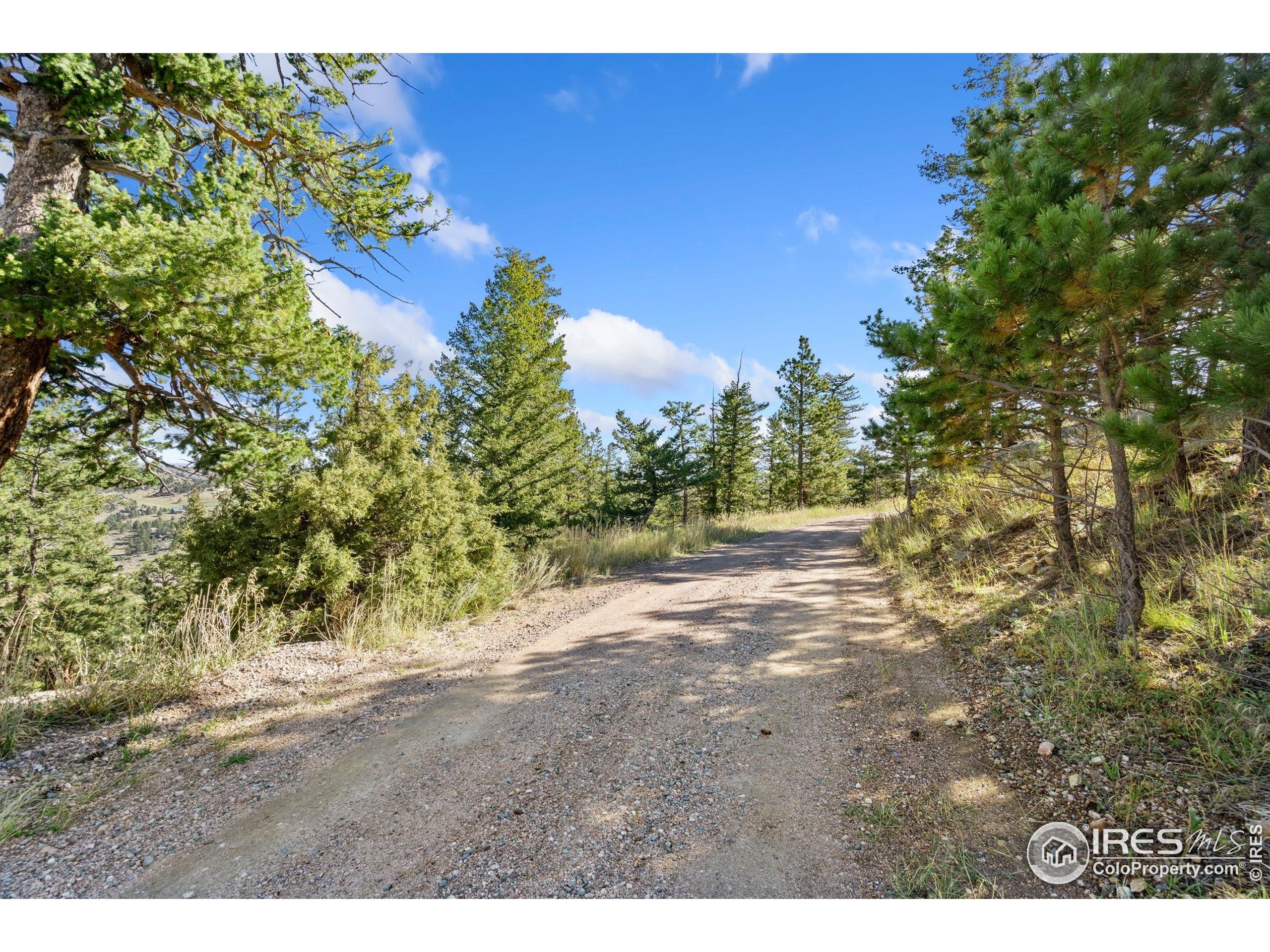 90 Sunlight Circle Livermore, CO 80536 - Photo 3 of 18 a view of a yard with a tree