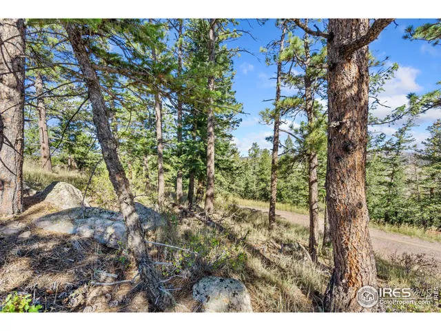 a view of a yard with a tree