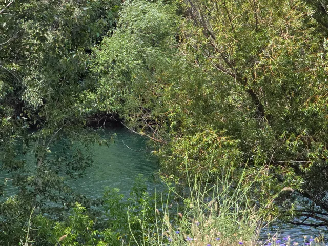 $359,000 | 1528 East Boone Avenue, Spokane, WA 99202