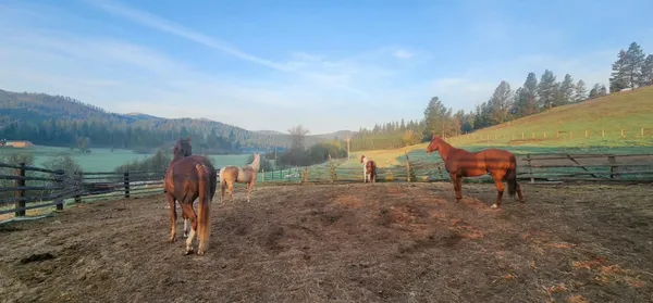 $874,999 | 27108 East Blanchard Road, Newport, WA 99156