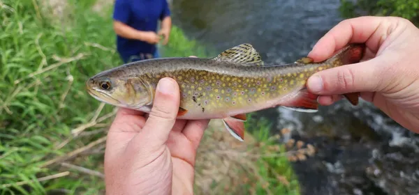 $874,999 | 27108 East Blanchard Road, Newport, WA 99156