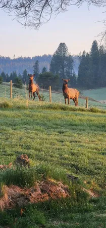 $874,999 | 27108 East Blanchard Road, Newport, WA 99156