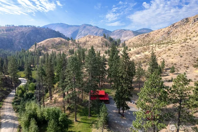 a view of a city with lots of trees