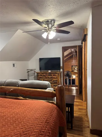 a view of backyard with lawn chairs potted plants and a large tree