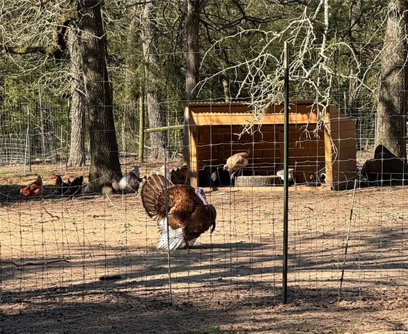 a backyard of a house with barbeque oven and large trees