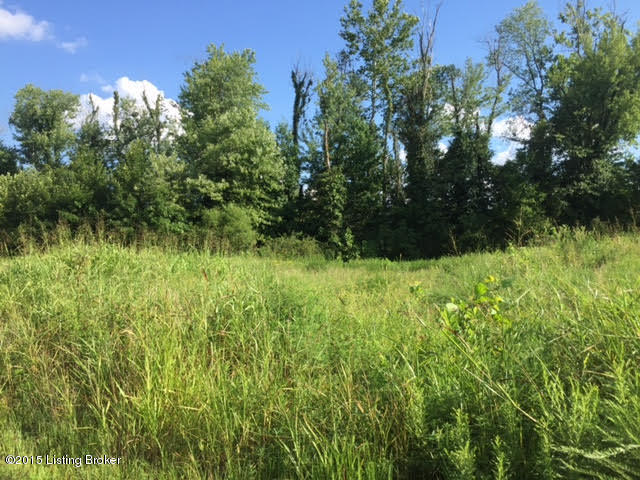 155 Green Farm Road Falls Of Rough, KY 40119 - Photo 2 of 10 2