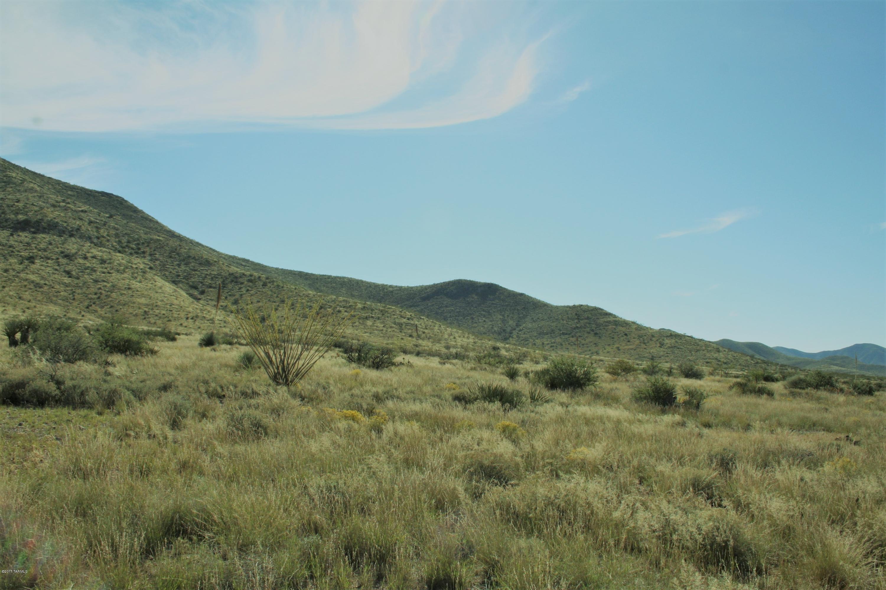 Tbd Victorio Road Dragoon, AZ 85609 - Photo 2 of 29