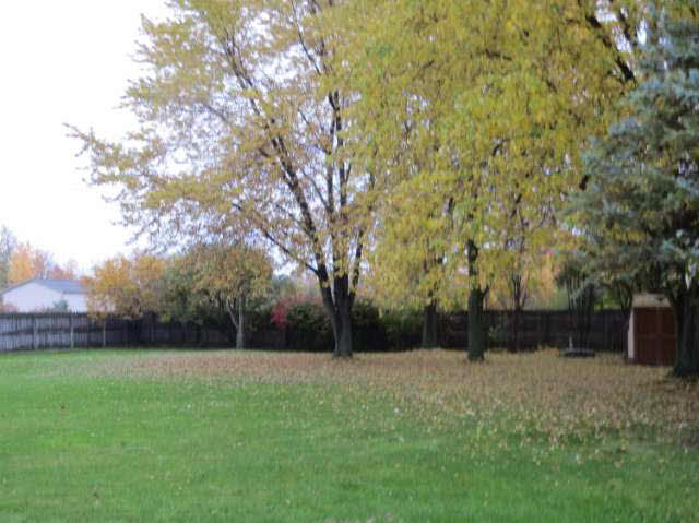 13064 North Webster Road Clio, MI 48420 - Photo 35 of 76 21230473-34.JPG