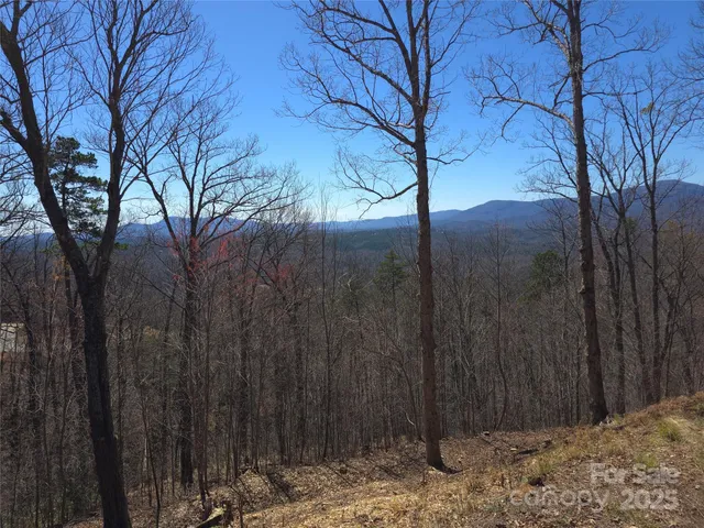 $56,900 | 0 Golden Ridge Drive, Unit 209, Lake Lure, NC 28746