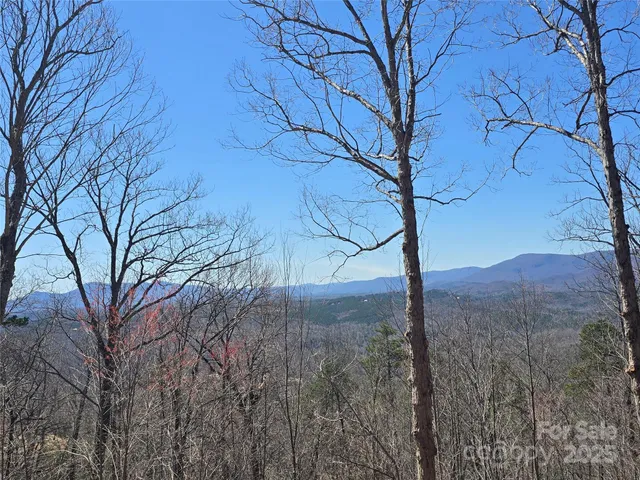 $56,900 | 0 Golden Ridge Drive, Unit 209, Lake Lure, NC 28746