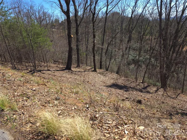 $56,900 | 0 Golden Ridge Drive, Unit 209, Lake Lure, NC 28746