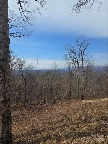 $56,900 | 0 Golden Ridge Drive, Unit 209, Lake Lure, NC 28746