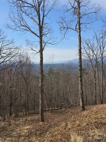 $56,900 | 0 Golden Ridge Drive, Unit 209, Lake Lure, NC 28746