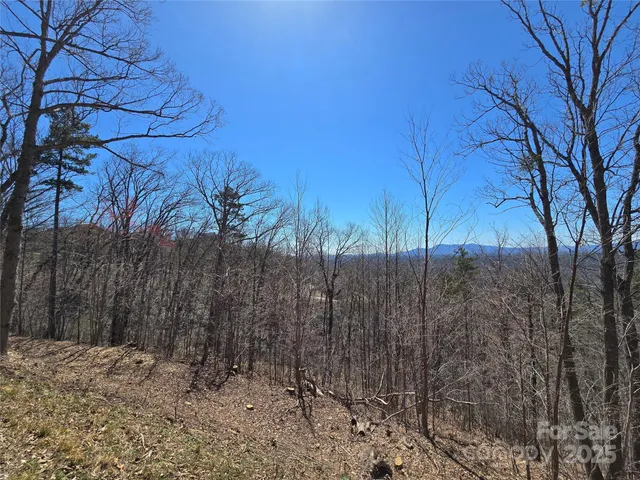 $56,900 | 0 Golden Ridge Drive, Unit 209, Lake Lure, NC 28746