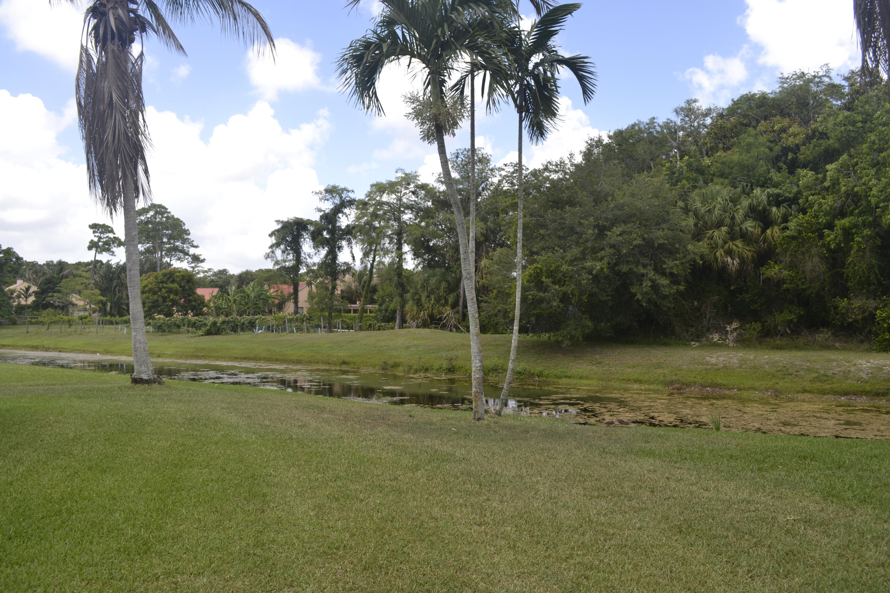 1104 Raintree Lane Wellington, FL 33414 - Photo 19 of 30 Canal Lot extra privacy
