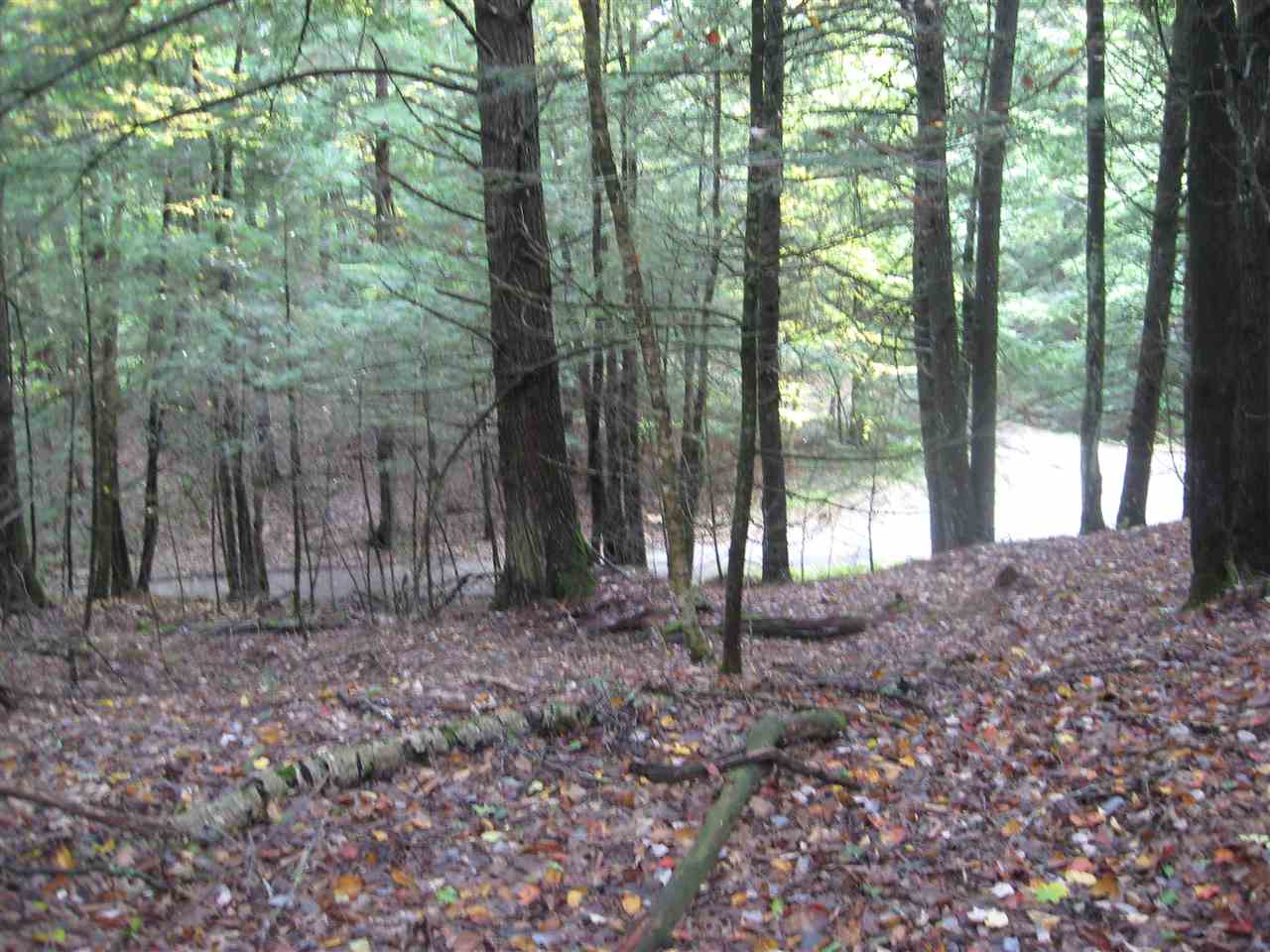 23-24 Wetherbee Road Lyman, NH 03585 - Photo 1 of 29