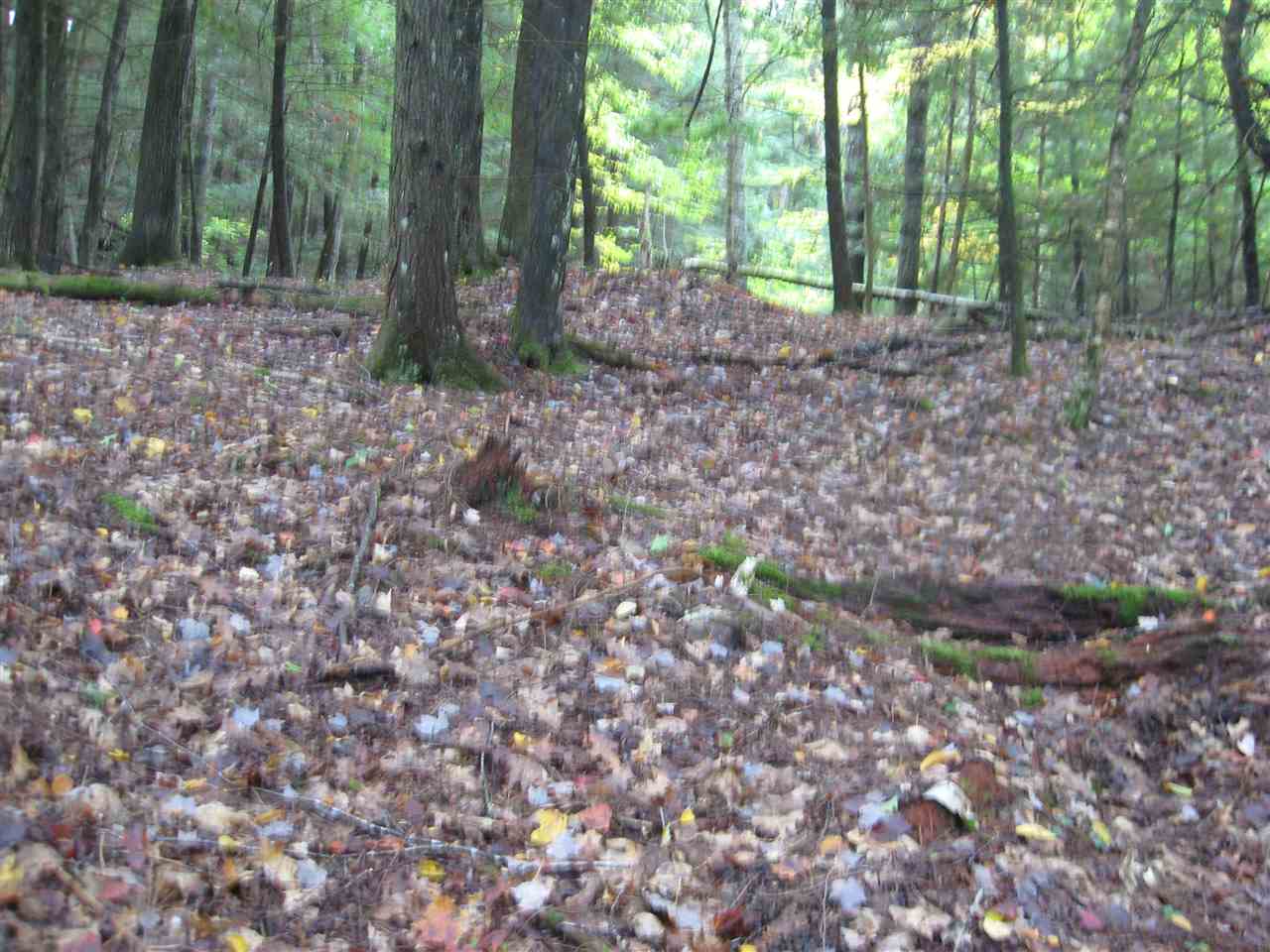 23-24 Wetherbee Road Lyman, NH 03585 - Photo 23 of 29