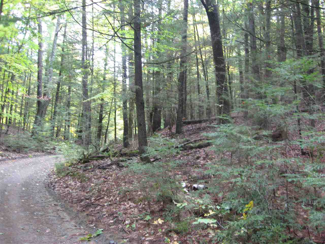 23-24 Wetherbee Road Lyman, NH 03585 - Photo 5 of 29