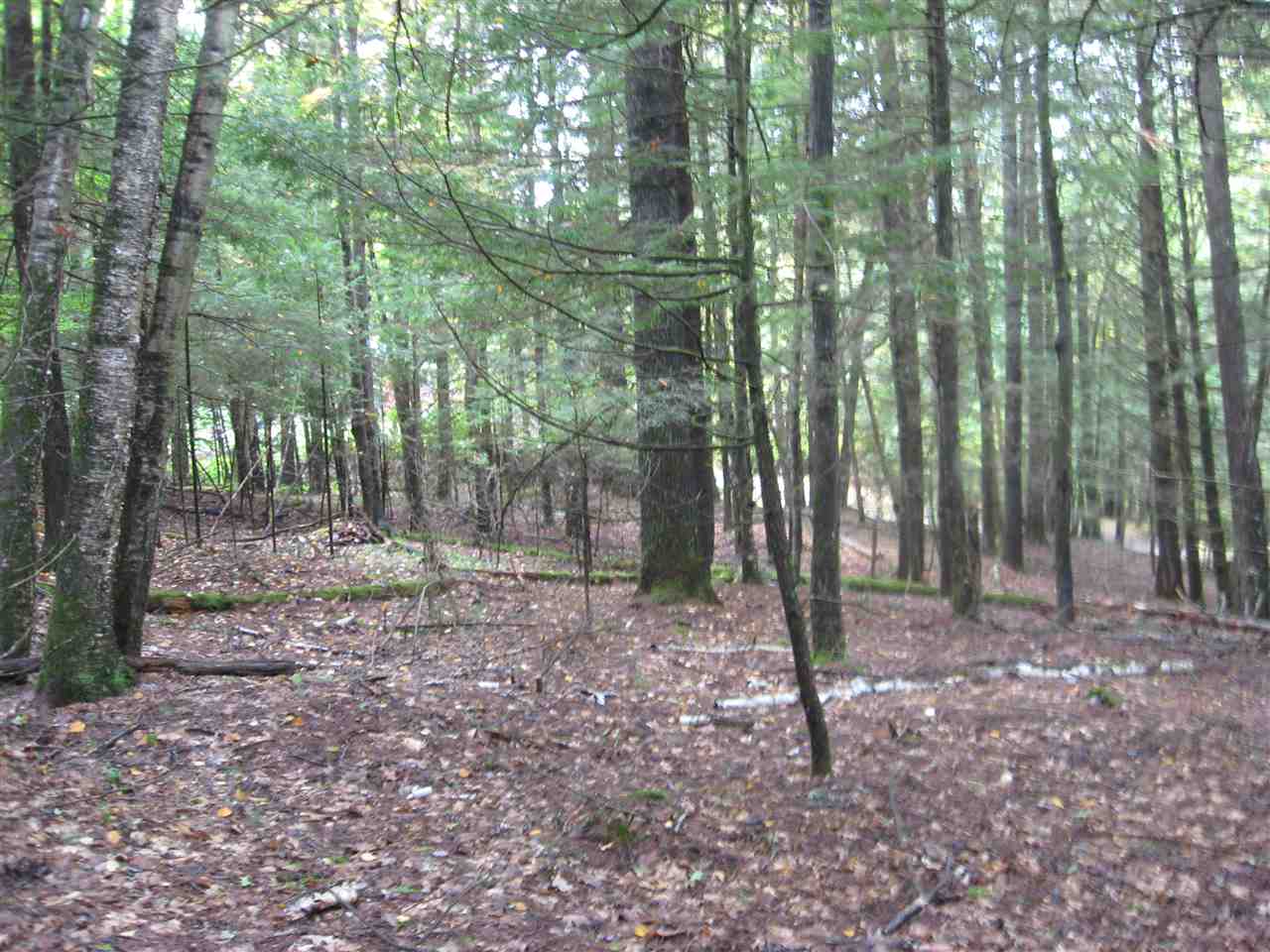 23-24 Wetherbee Road Lyman, NH 03585 - Photo 6 of 29