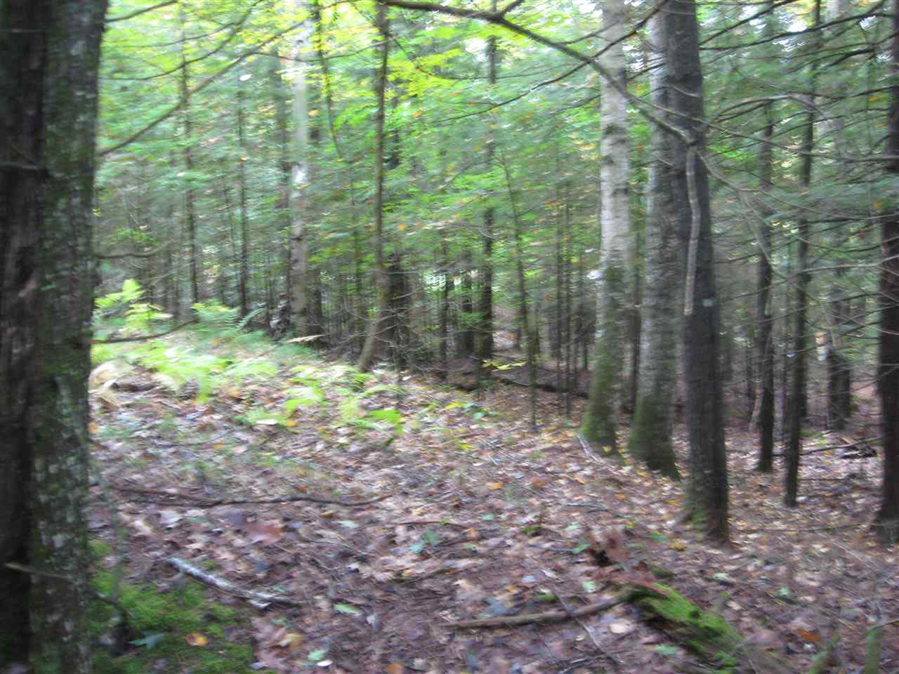 23-24 Wetherbee Road Lyman, NH 03585 - Photo 8 of 29