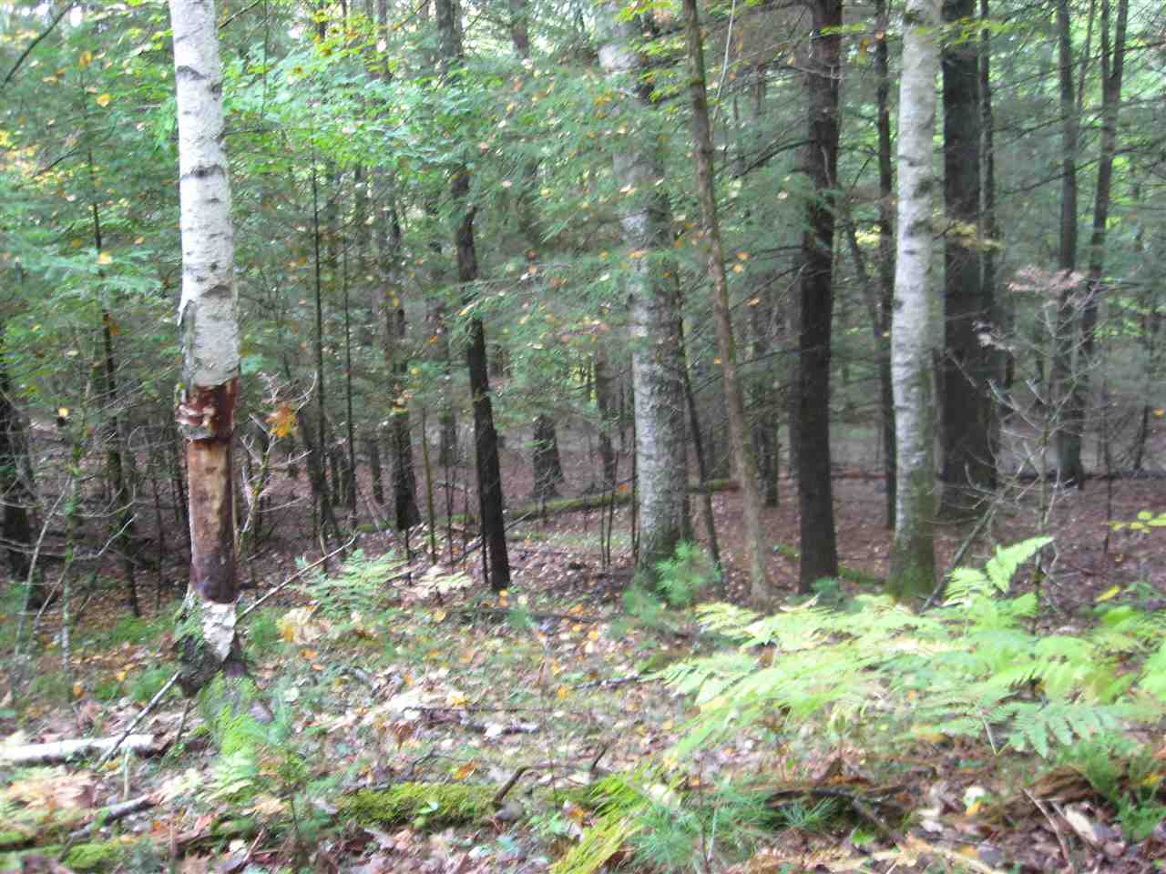 23-24 Wetherbee Road Lyman, NH 03585 - Photo 9 of 29