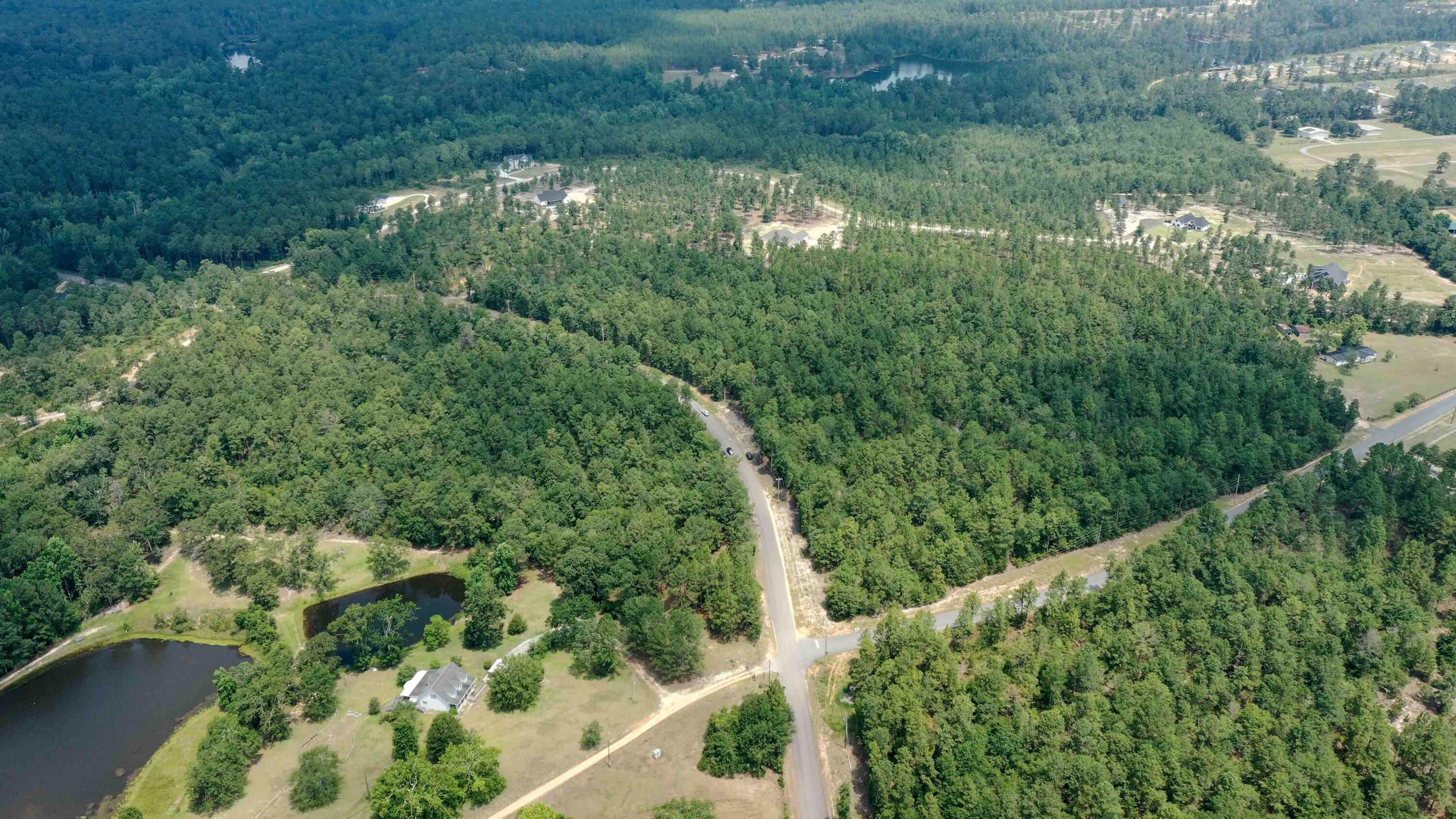 7 Mt Zion Road Williston, SC 29853 - Photo 3 of 15