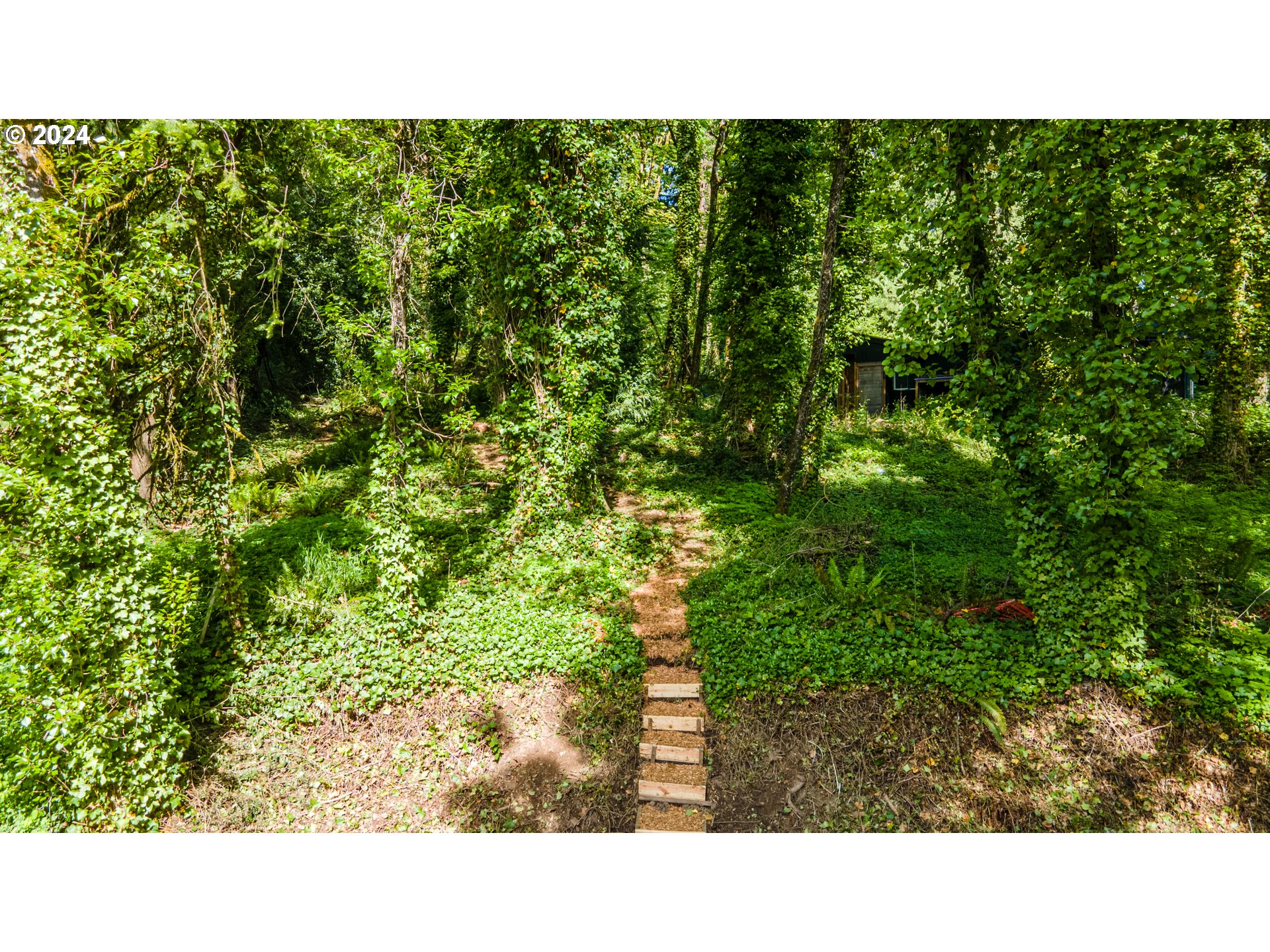 1322 Southwest Maplecrest Drive, Unit F Portland, OR 97219 - Photo 13 of 18 a black and white photo of a forest