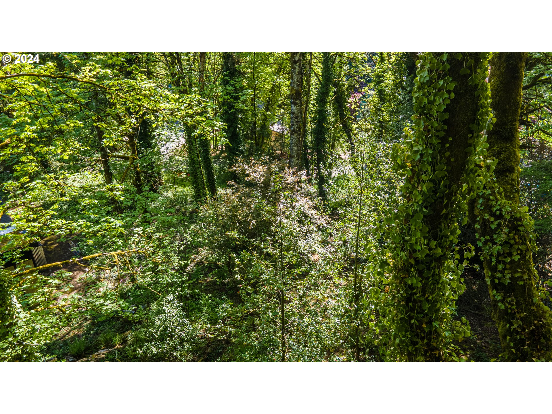 1322 Southwest Maplecrest Drive, Unit F Portland, OR 97219 - Photo 14 of 18 a black and white photo of a green field