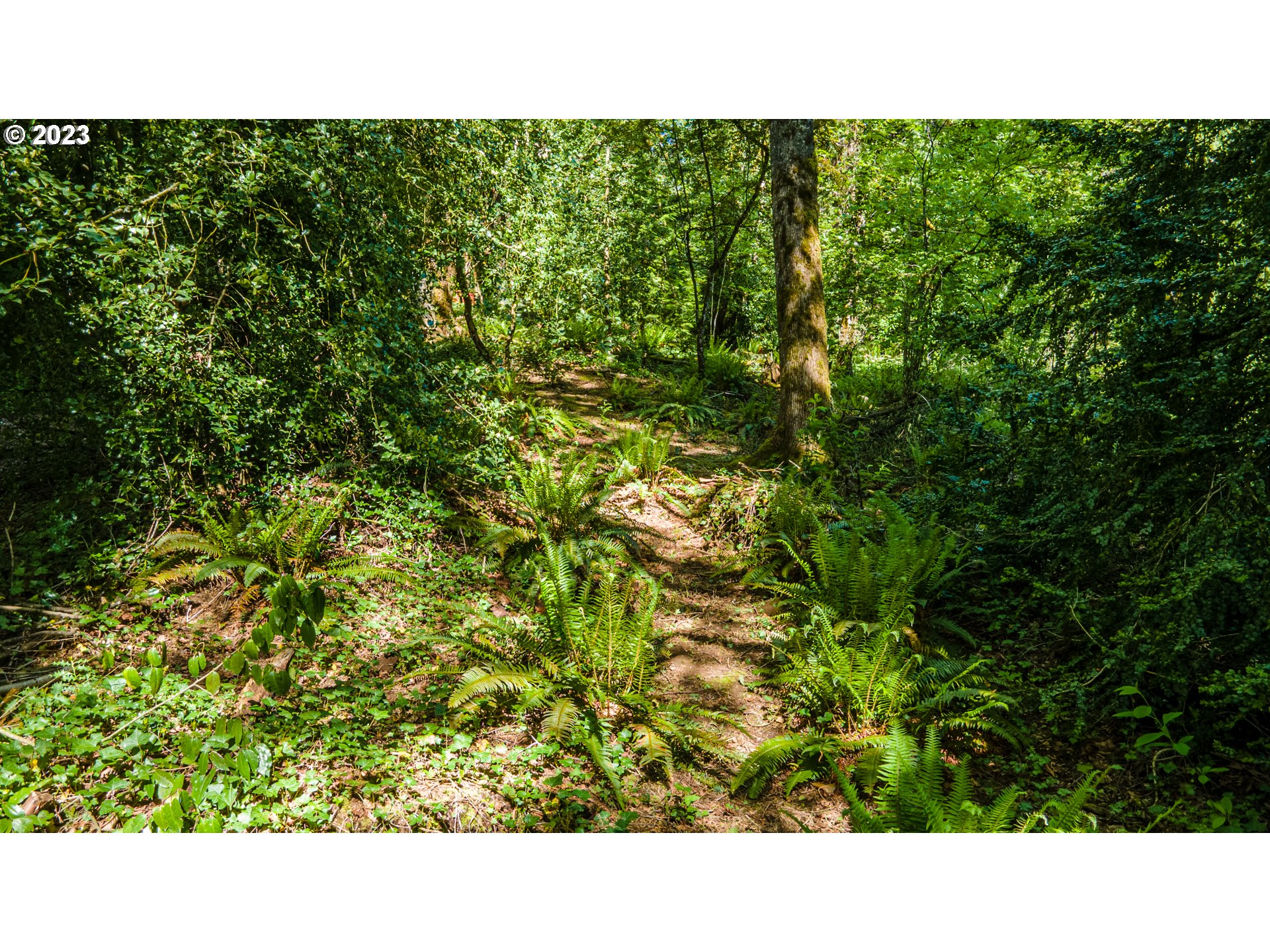 1322 Southwest Maplecrest Drive, Unit F Portland, OR 97219 - Photo 2 of 18 a picture of a city