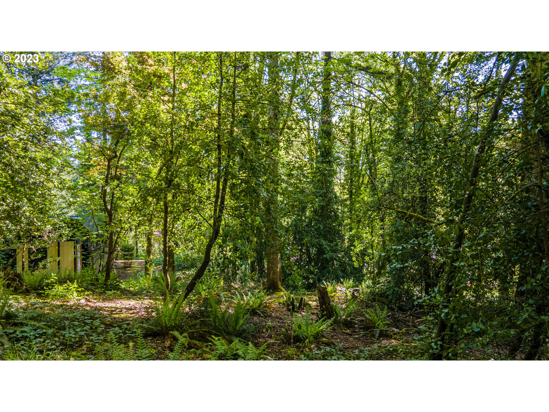 1322 Southwest Maplecrest Drive, Unit F Portland, OR 97219 - Photo 5 of 18 a open area of a house with a yard