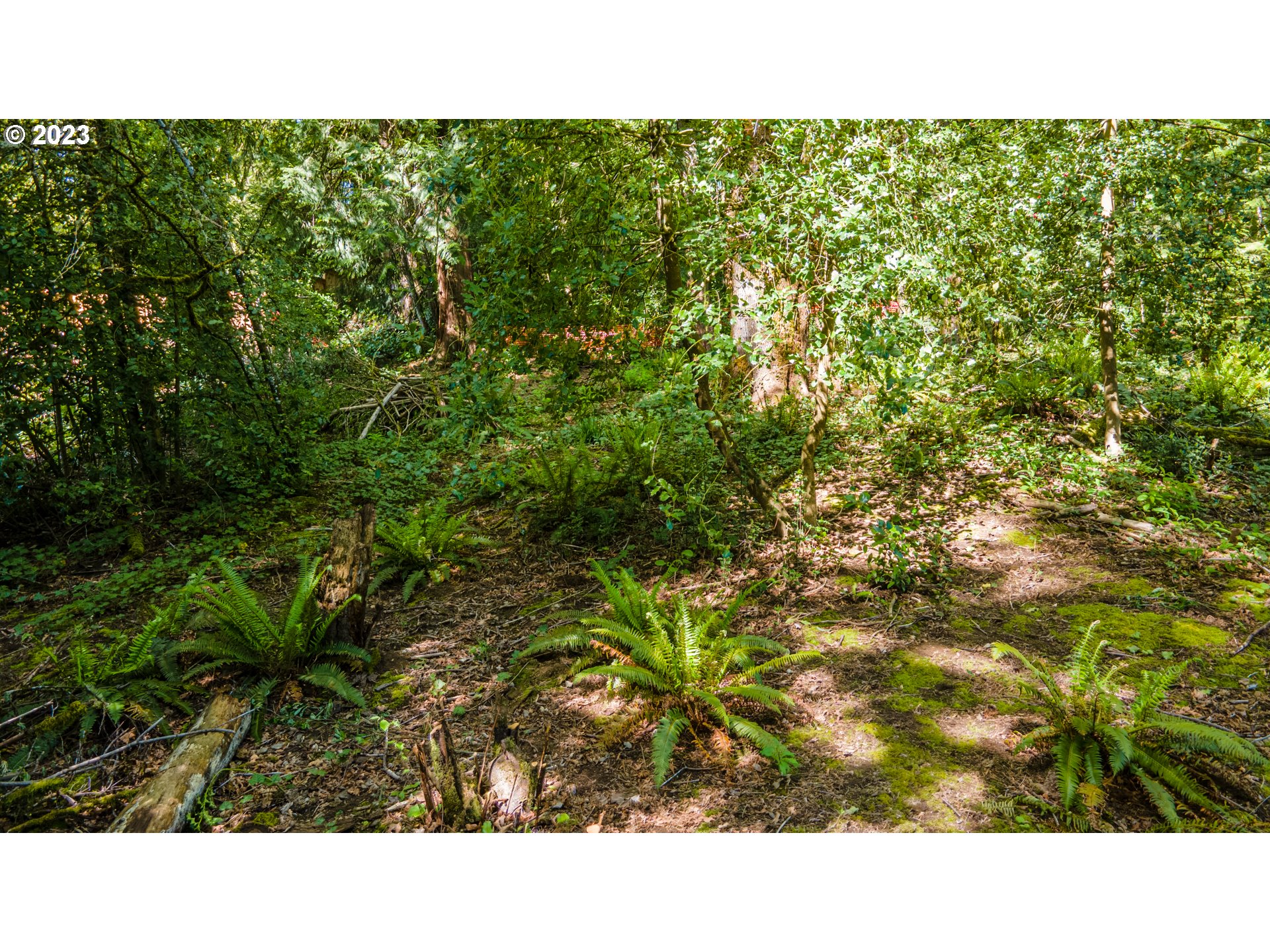 1322 Southwest Maplecrest Drive, Unit F Portland, OR 97219 - Photo 7 of 18 a black and white photo of a house