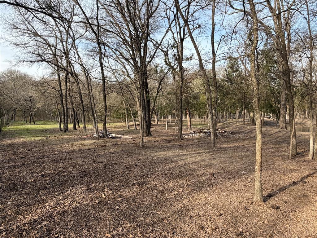 2552 Northwest 1090 Road Corsicana, TX 75110 - Photo 19 of 23 a view of a trees with a yard