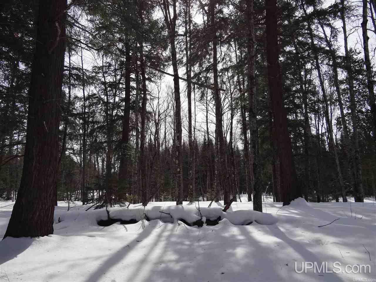 Tbd Dogpatch Road, Unit LOT J Lanse, MI 49946 - Photo 9 of 16