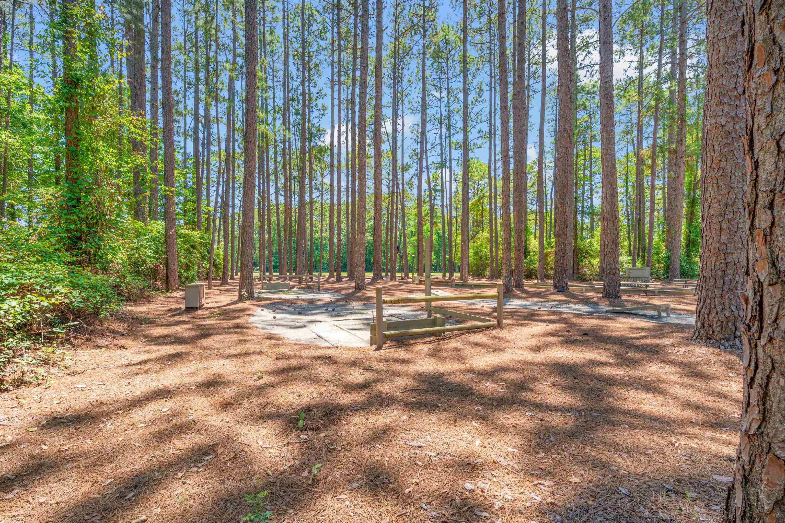 211 Butternut Circle Conway, SC 29526 - Photo 29 of 33