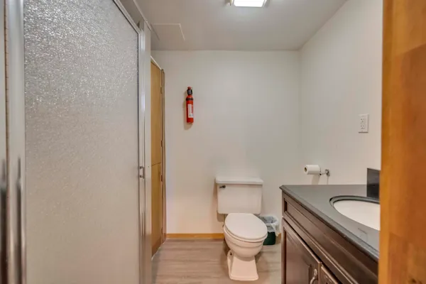 a bathroom with a sink a toilet and a shower