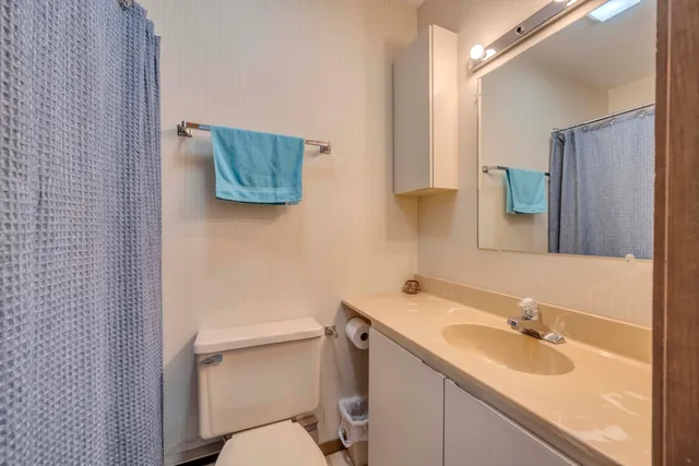a bathroom with a sink and a toilet
