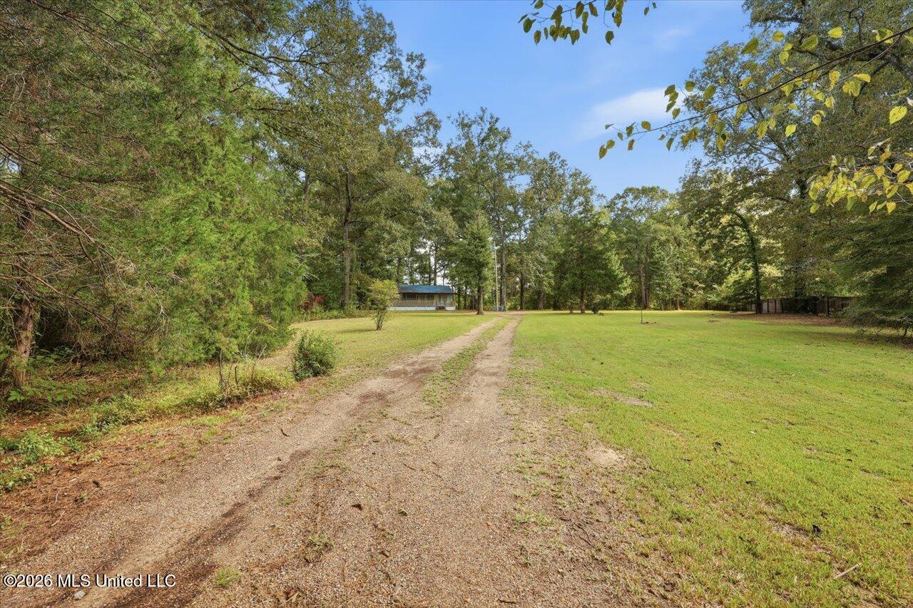 301 Maple Street Florence, MS 39073 - Photo 29 of 30 Long PRIVACY Driveway