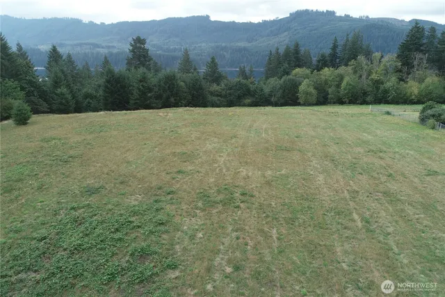 a view of a field with trees in the background