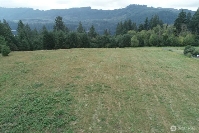 a view of a field with a tree in the background
