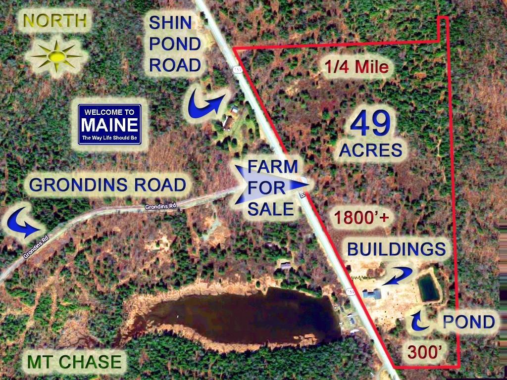 1031 Shin Pond Road Mount Chase, ME 04765 - Photo 1 of 17 Photo