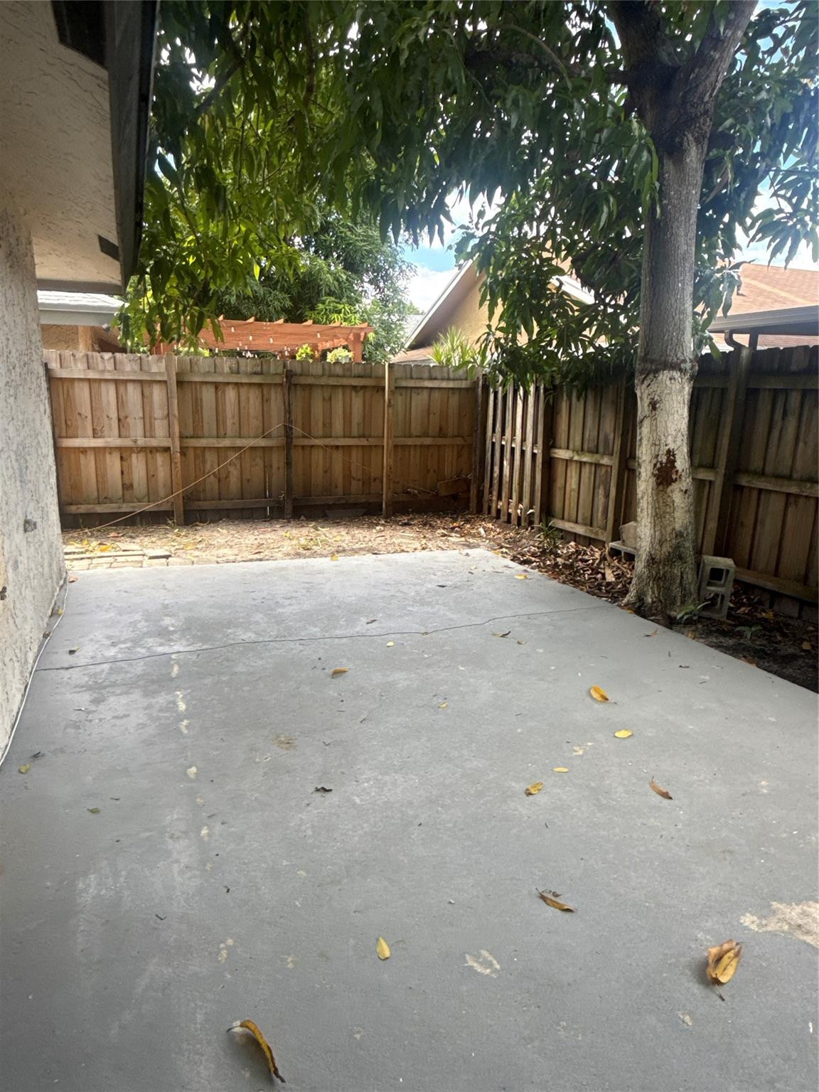 7427 Southwest 13th Street North Lauderdale, FL 33068 - Photo 35 of 49 a view of backyard and tree