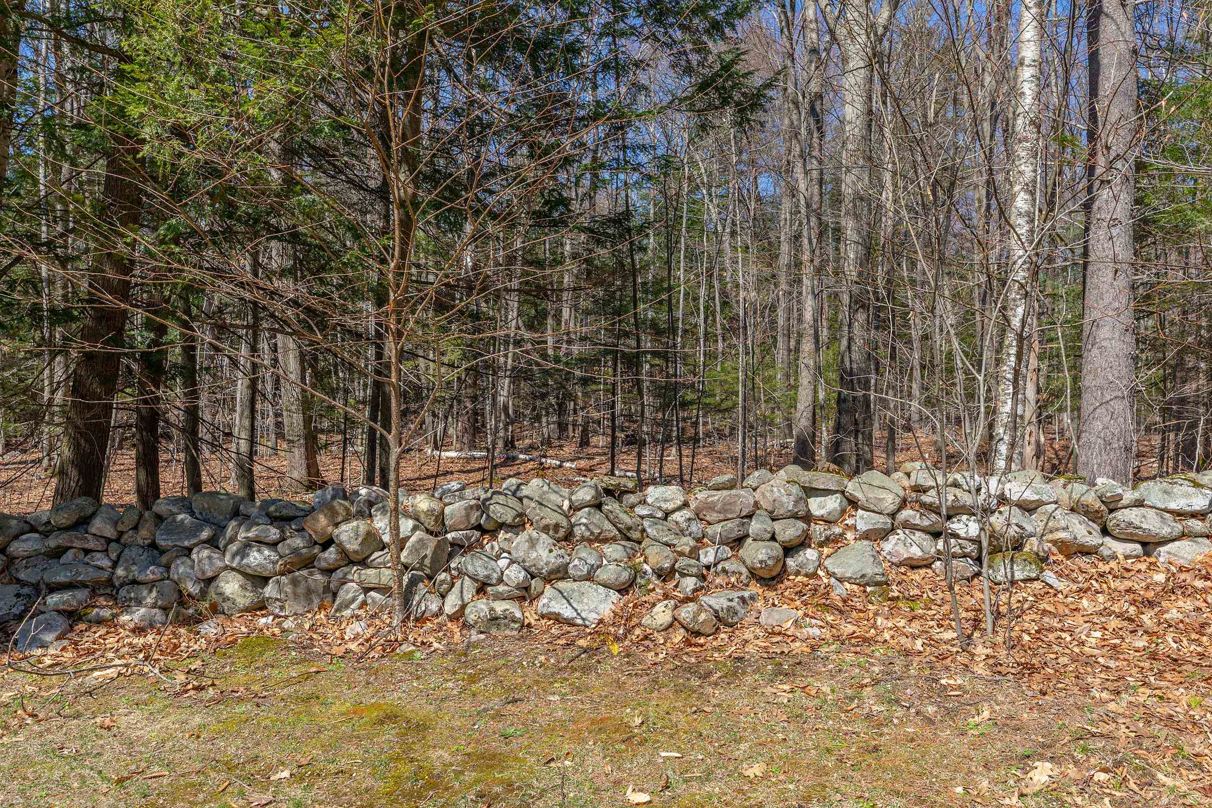 191 Pleasant St Extension Dorset, VT 05253 - Photo 37 of 45